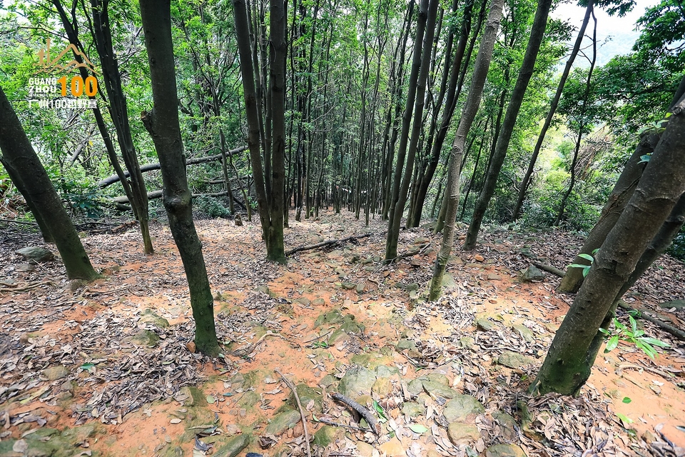 广州100越野赛0503_C (199)