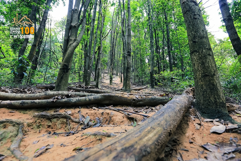 广州100越野赛0503_C (200)