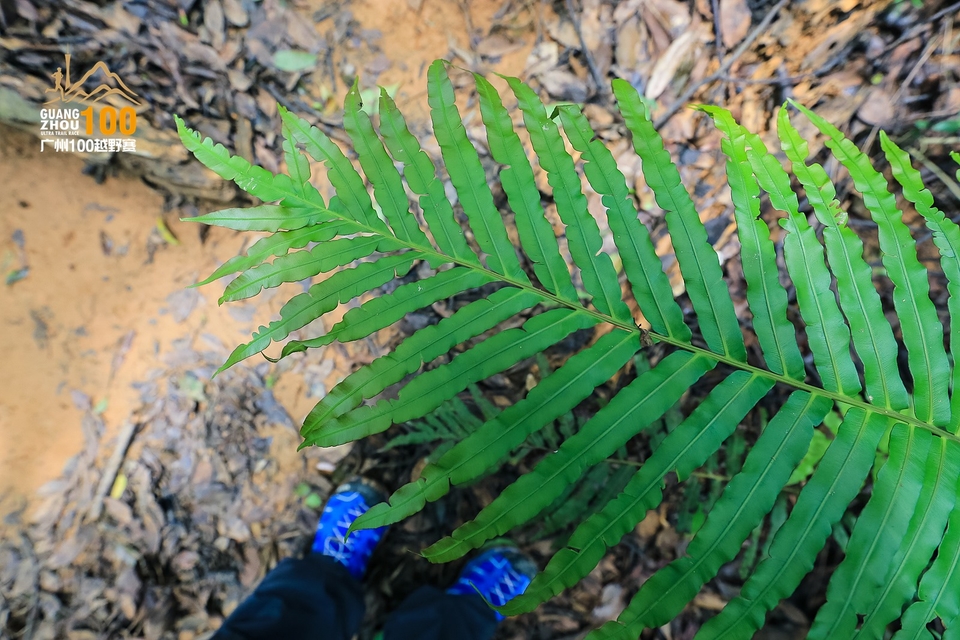 广州100越野赛0503_C (201)