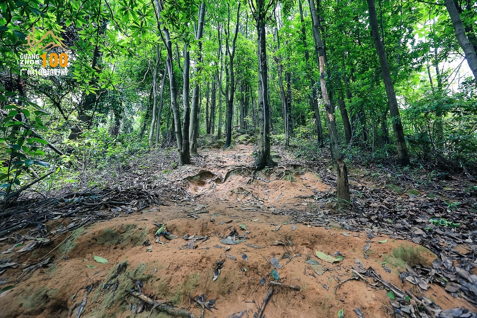 广州100越野赛0503_C (202)