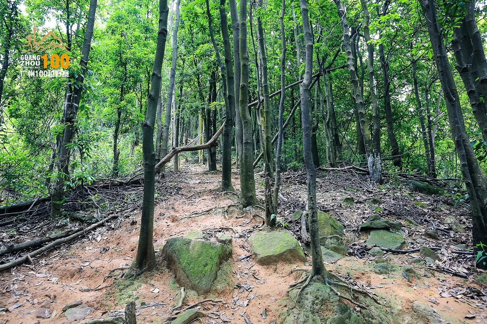 广州100越野赛0503_C (203)