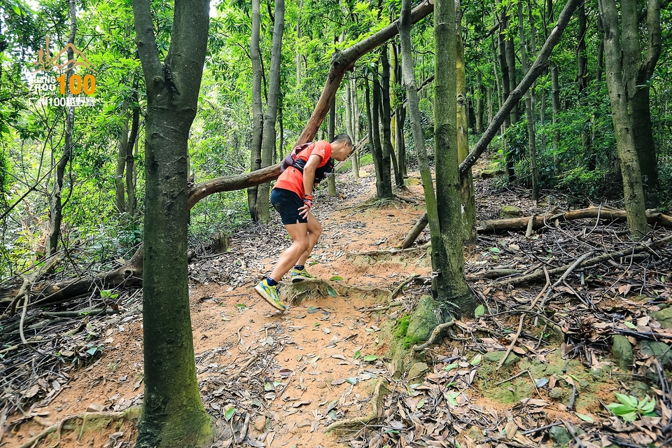 广州100越野赛0503_C (209)