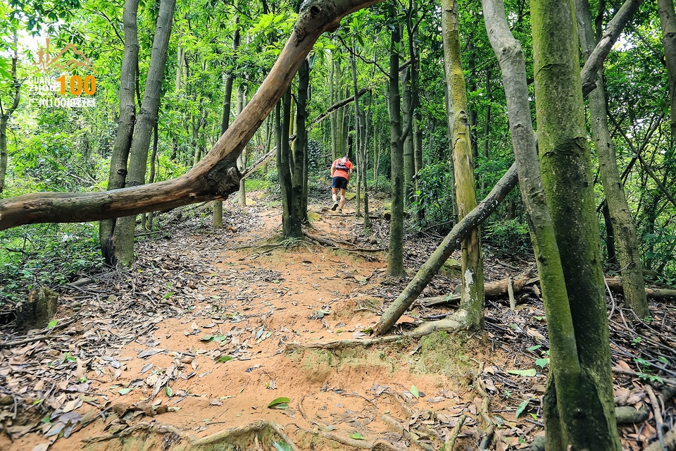 广州100越野赛0503_C (210)