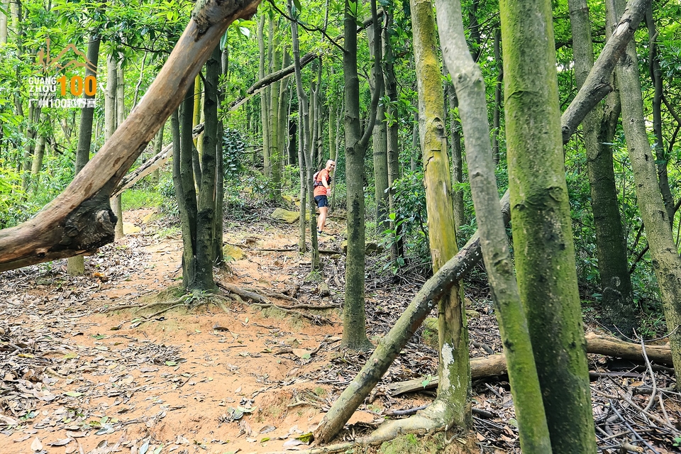 广州100越野赛0503_C (211)