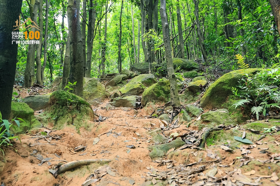 广州100越野赛0503_C (212)