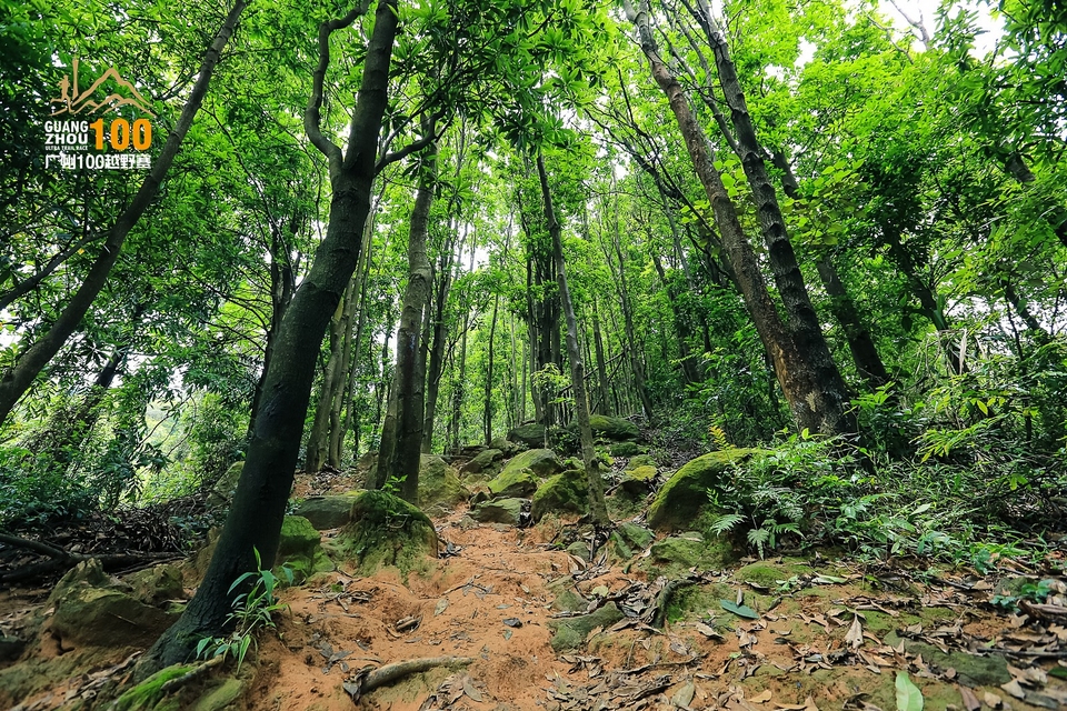 广州100越野赛0503_C (213)