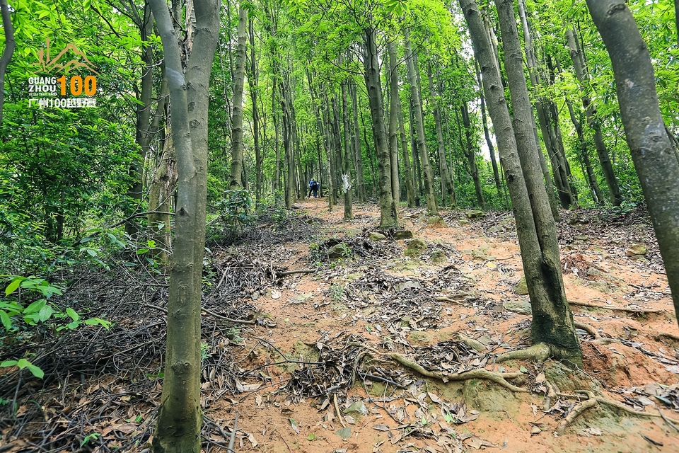 广州100越野赛0503_C (214)