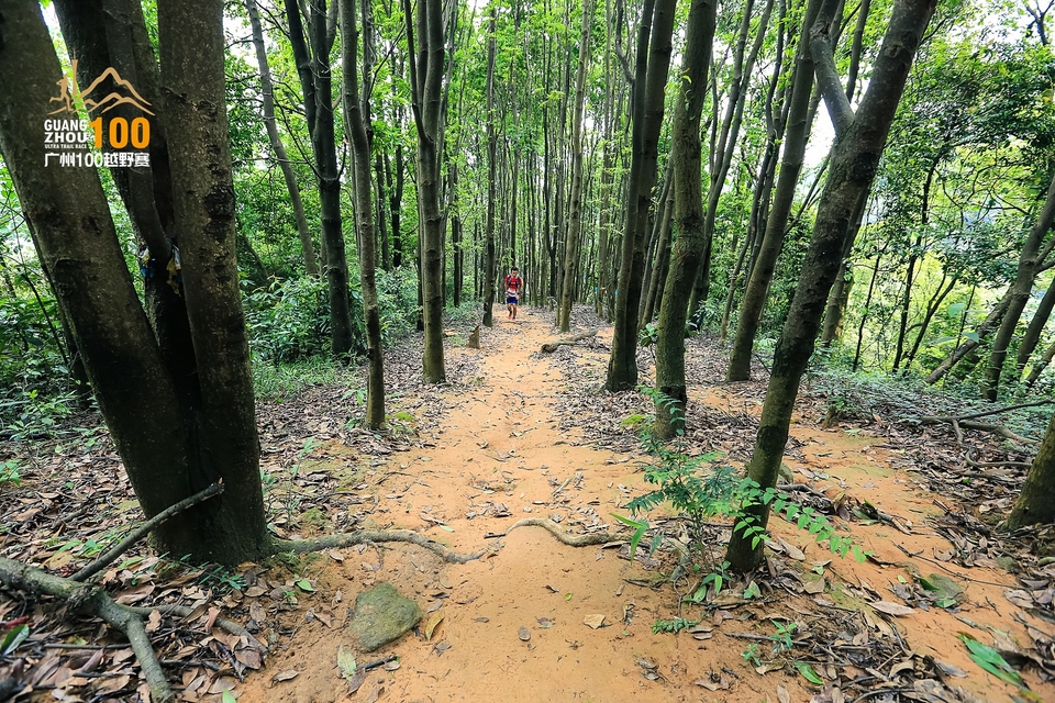 广州100越野赛0503_C (215)