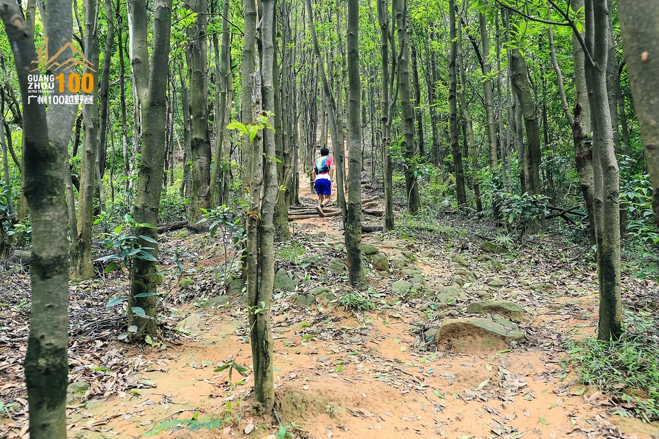 广州100越野赛0503_C (218)