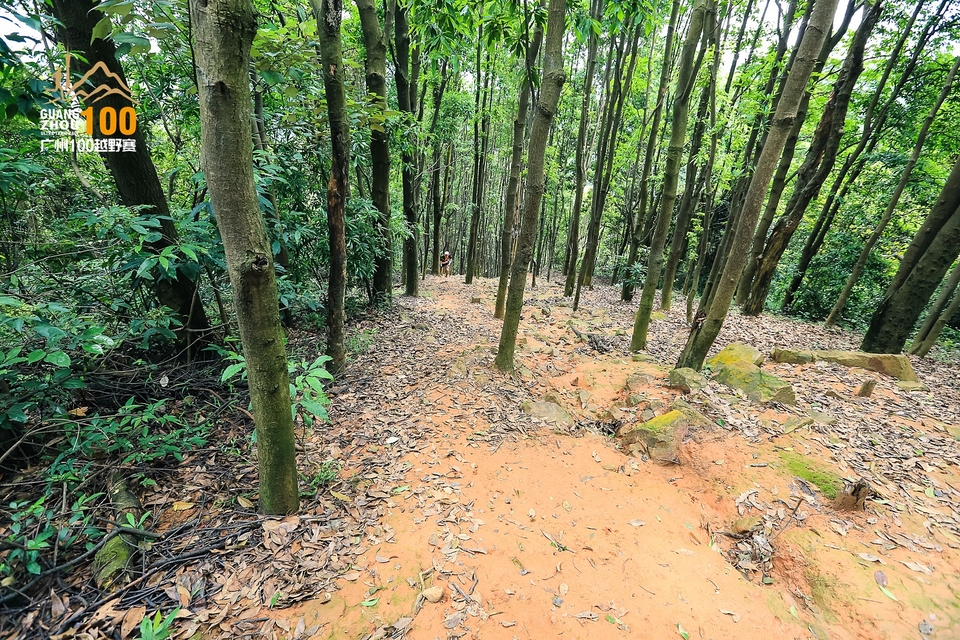 广州100越野赛0503_C (219)