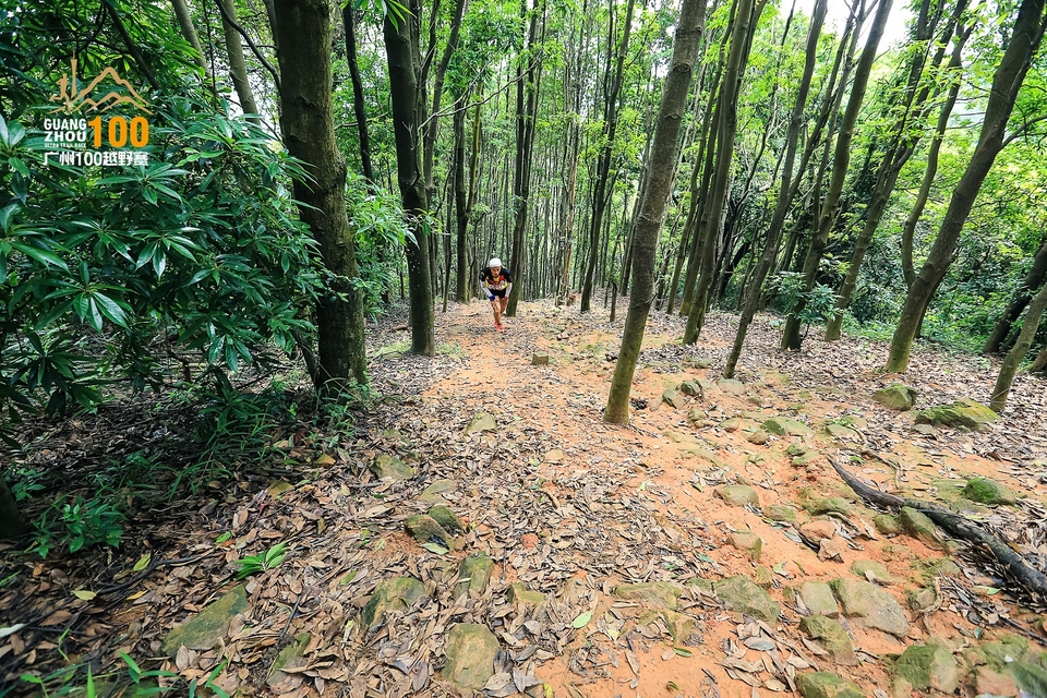 广州100越野赛0503_C (220)