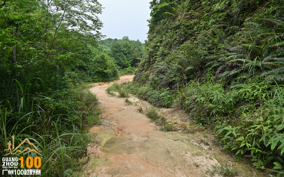 广州100越野赛_B修 (111)