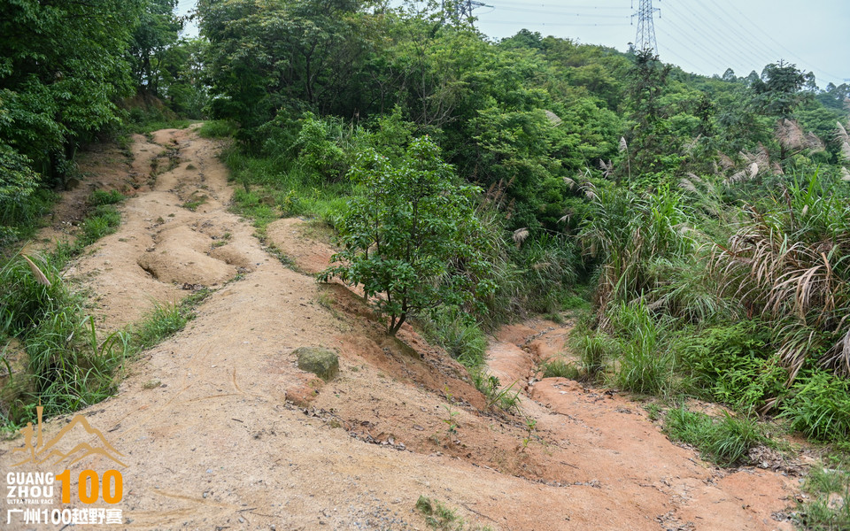 广州100越野赛_B修 (112)