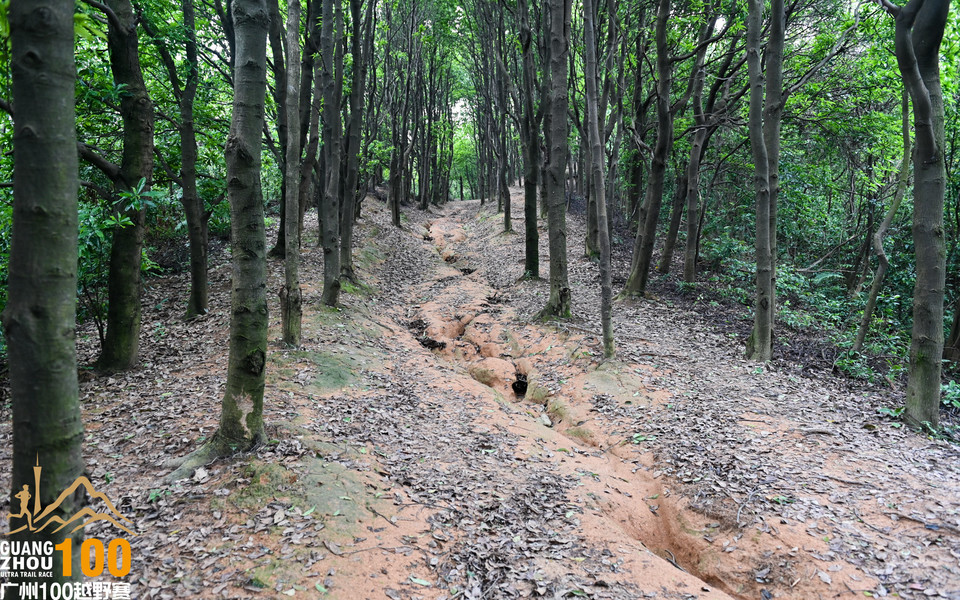 广州100越野赛_B修 (113)