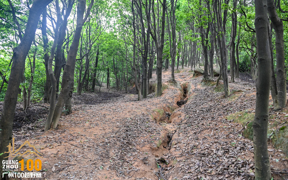 广州100越野赛_B修 (114)