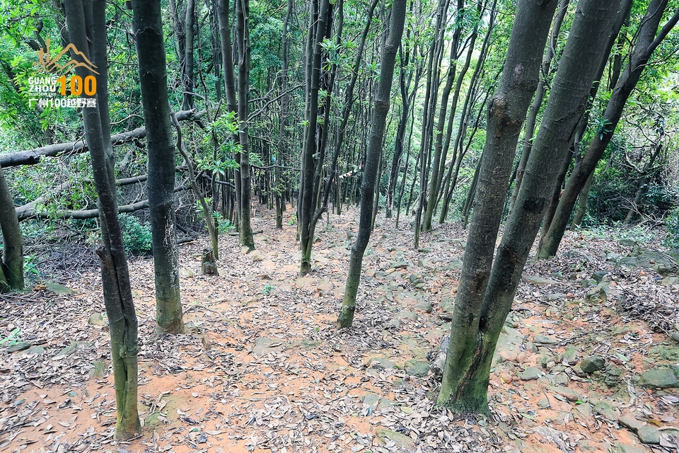 广州100越野赛0503_C (235)