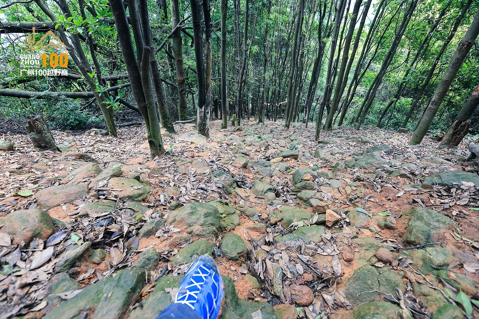 广州100越野赛0503_C (236)