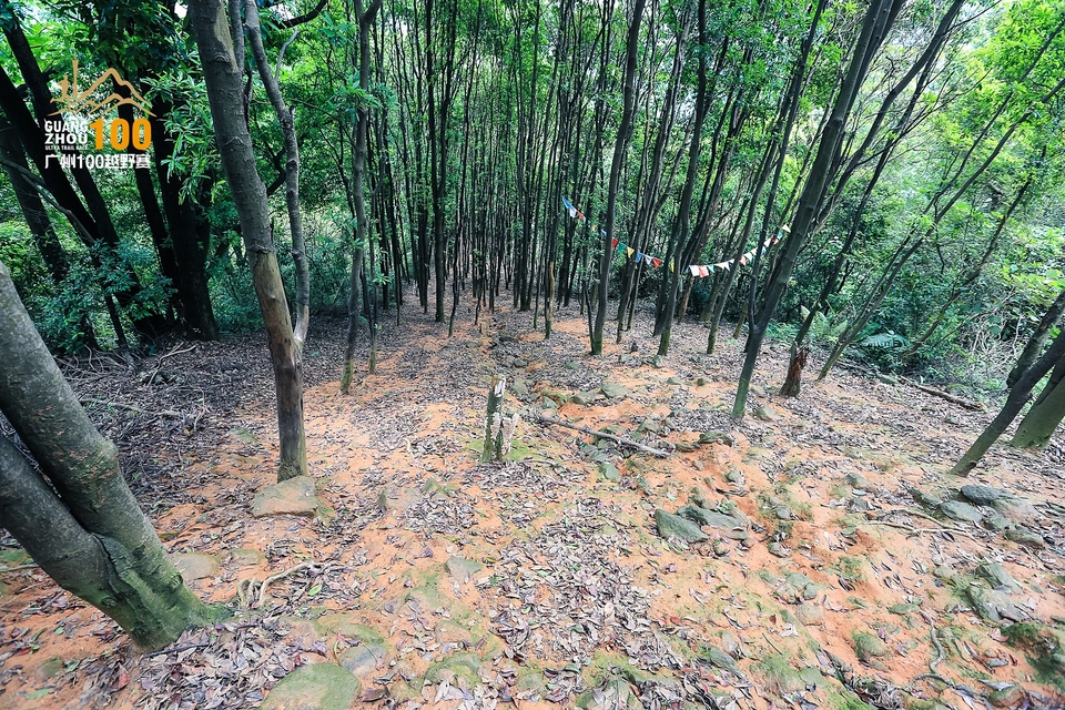 广州100越野赛0503_C (237)