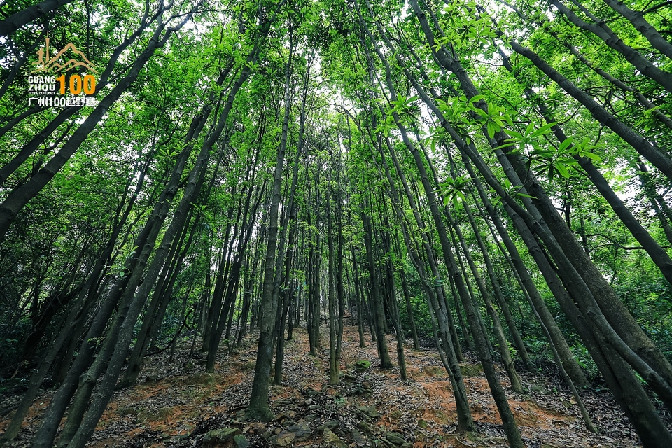 广州100越野赛0503_C (238)