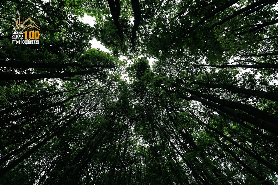 广州100越野赛0503_C (239)