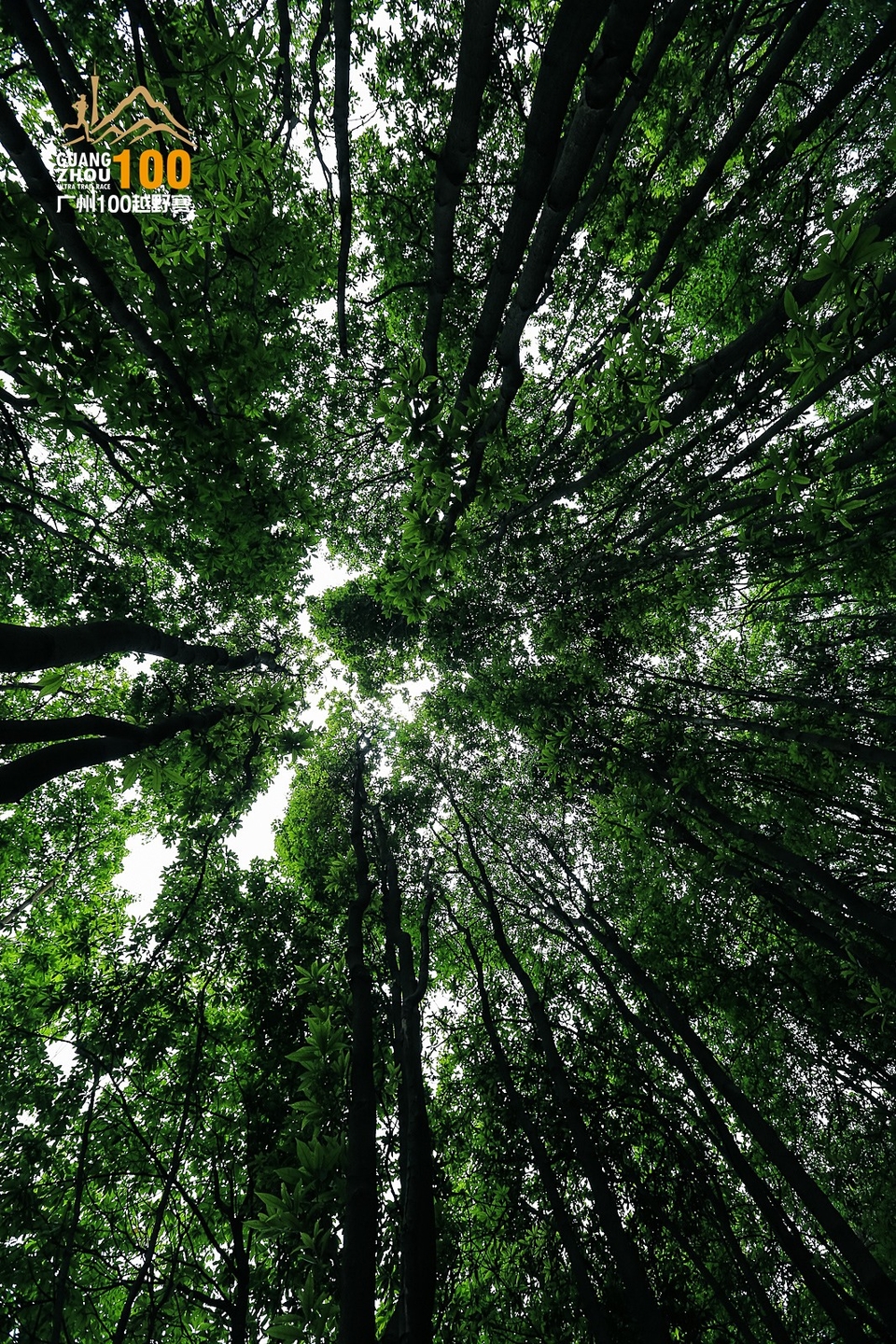 广州100越野赛0503_C (240)