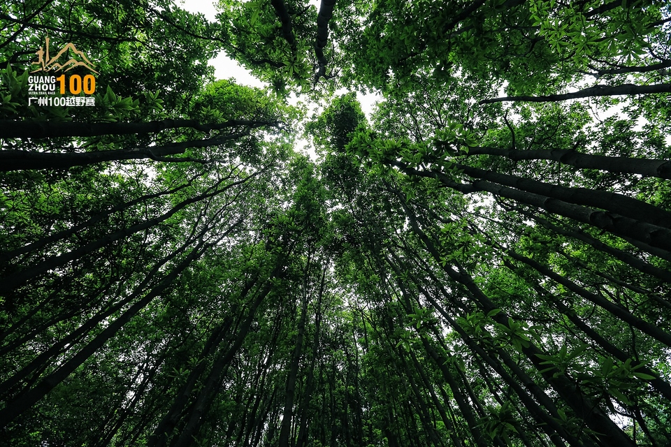 广州100越野赛0503_C (242)