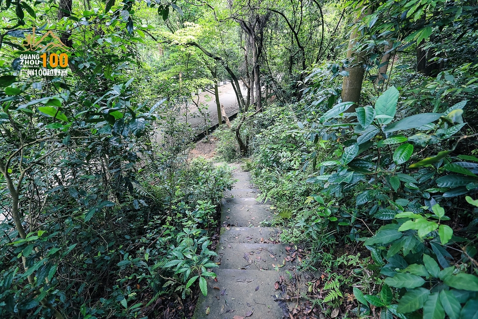 广州100越野赛0503_C (243)