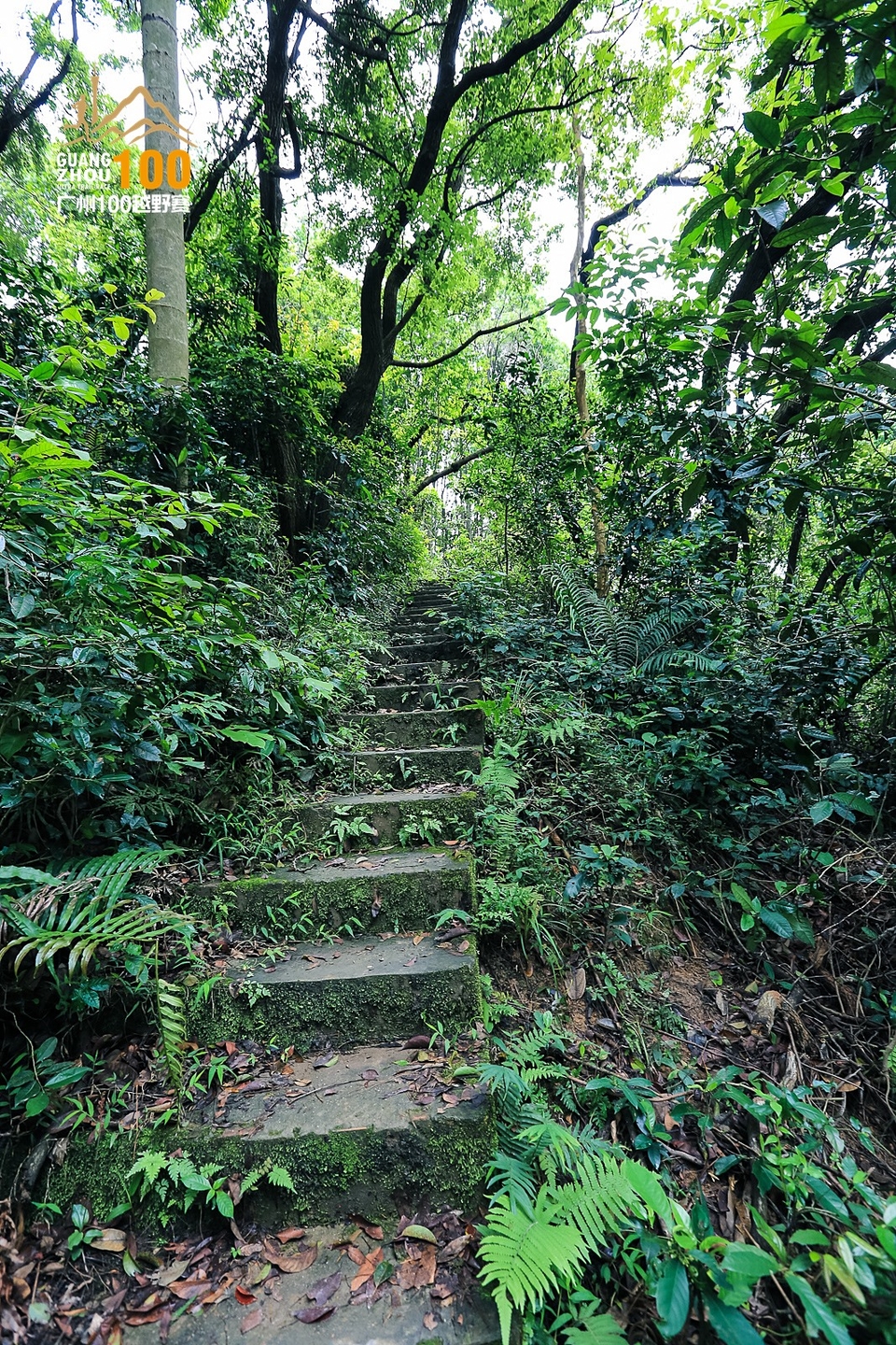 广州100越野赛0503_C (244)