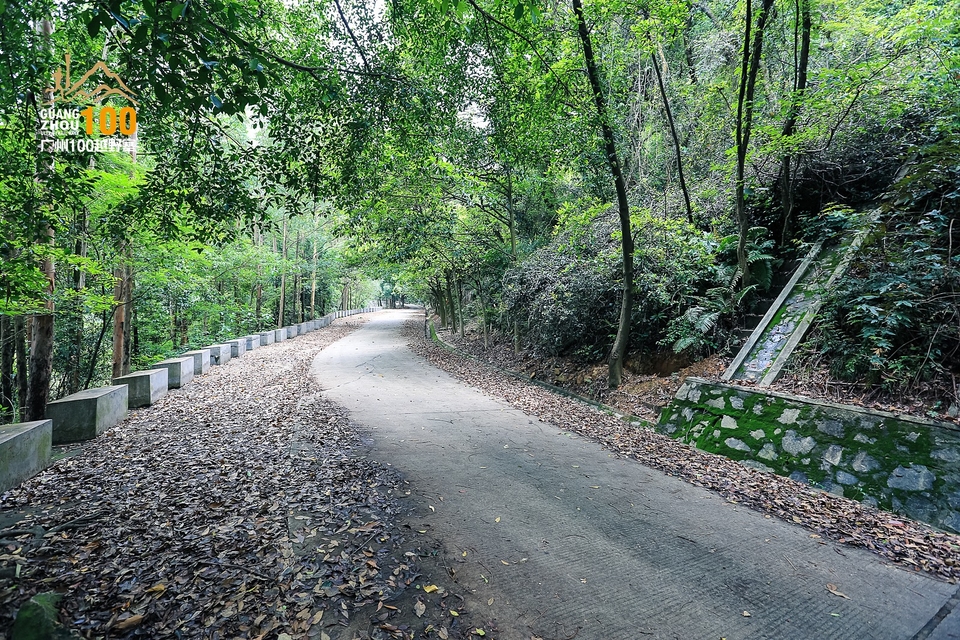 广州100越野赛0503_C (245)