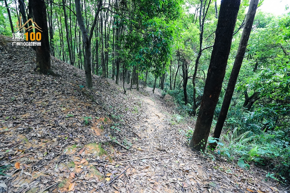 广州100越野赛0503_C (246)