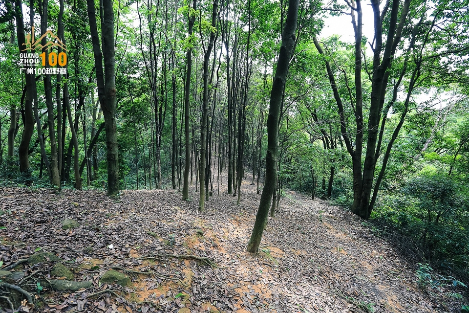 广州100越野赛0503_C (247)