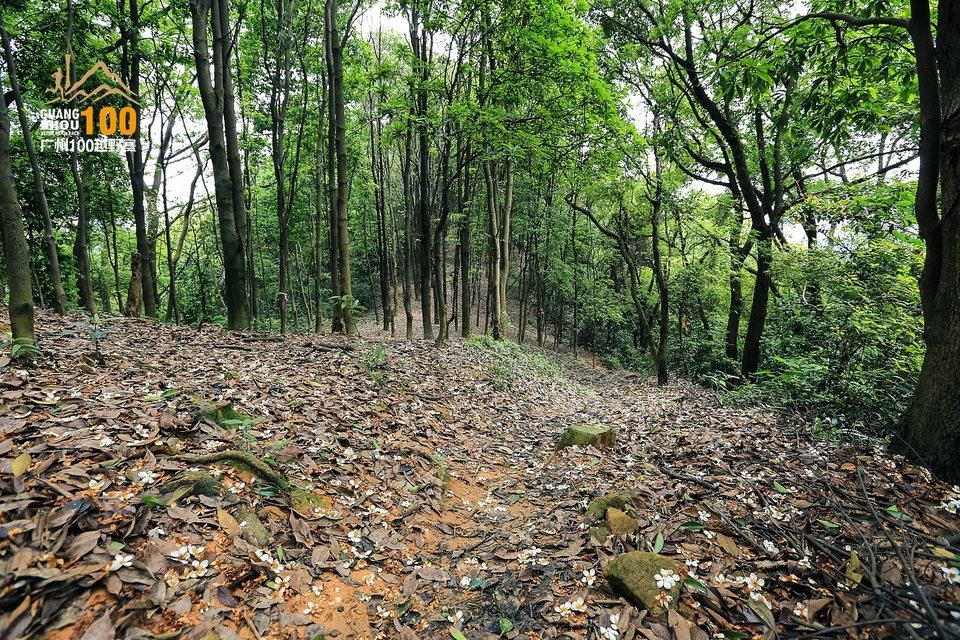 广州100越野赛0503_C (248)