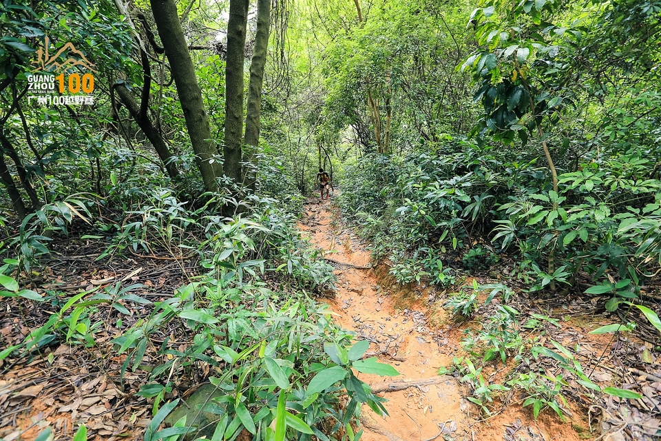 广州100越野赛0503_C (249)