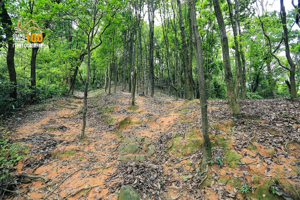 广州100越野赛0503_C (258)