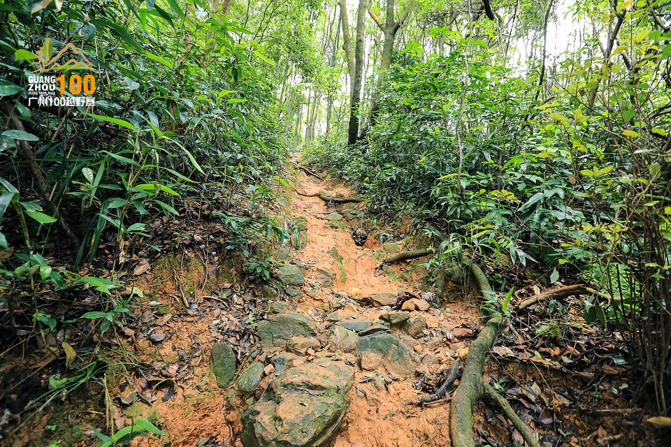 广州100越野赛0503_C (259)