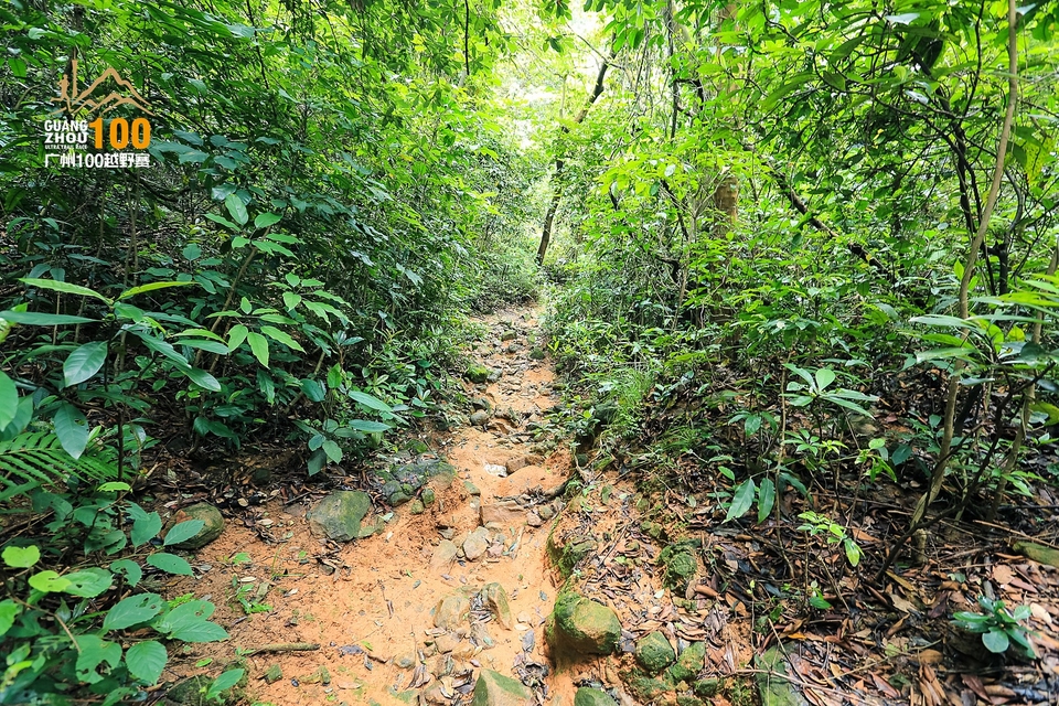 广州100越野赛0503_C (260)