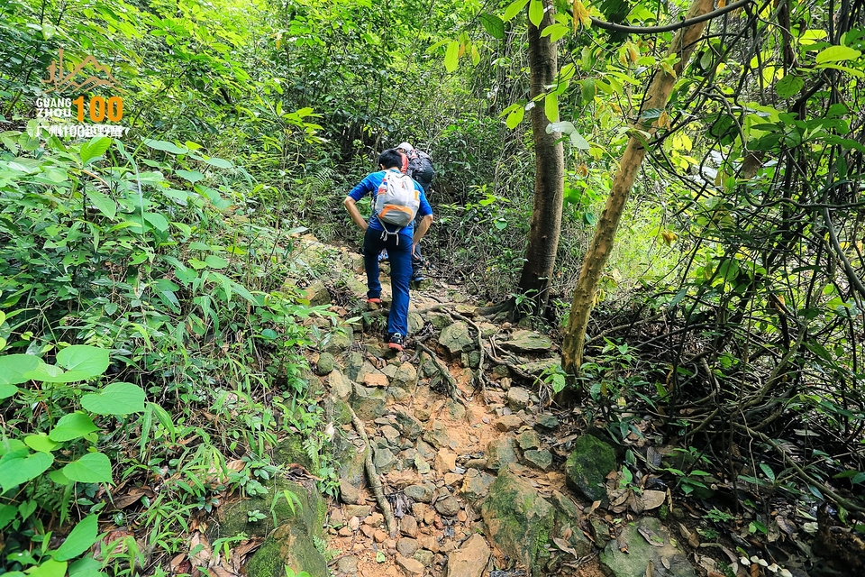 广州100越野赛0503_C (262)