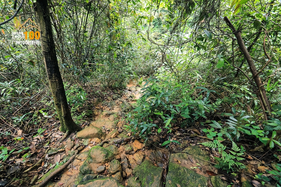 广州100越野赛0503_C (264)