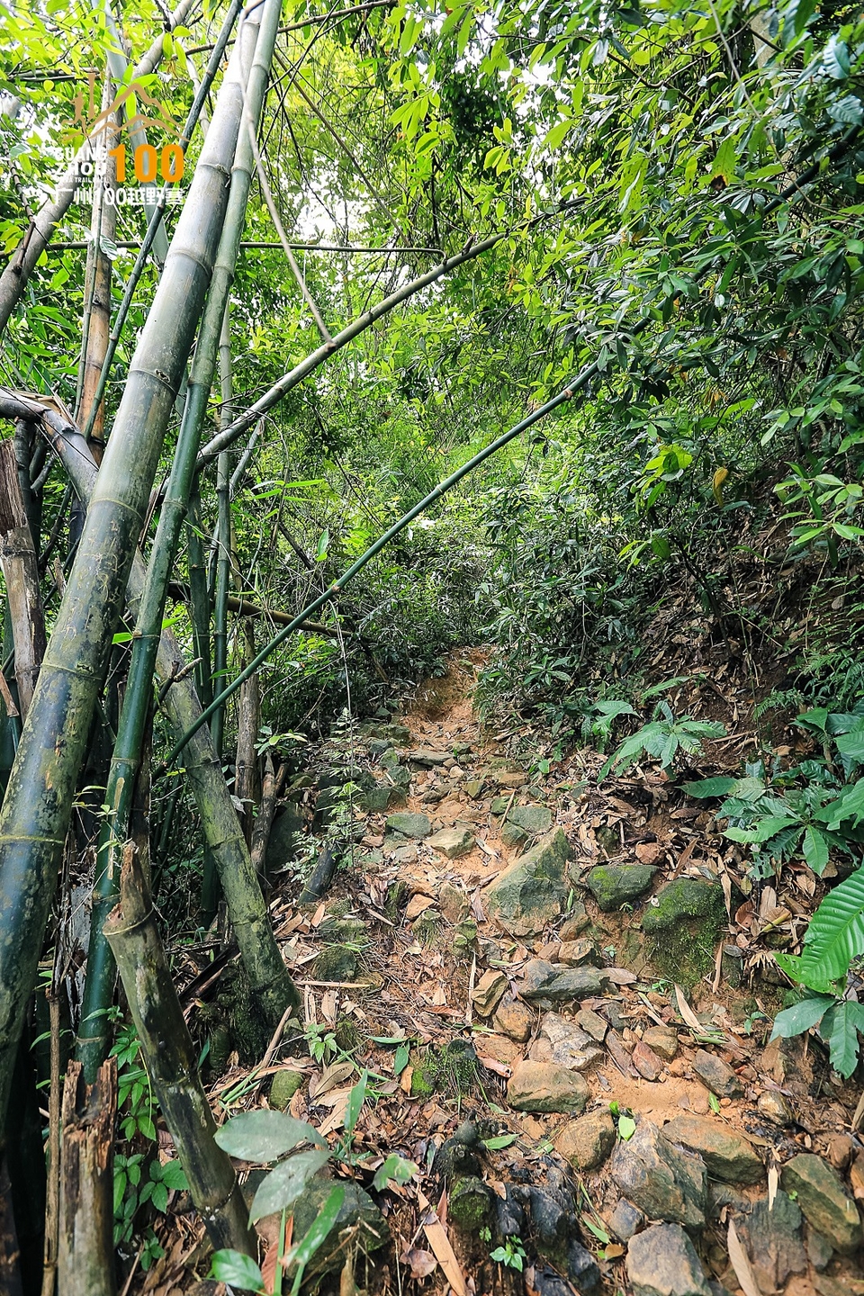 广州100越野赛0503_C (265)