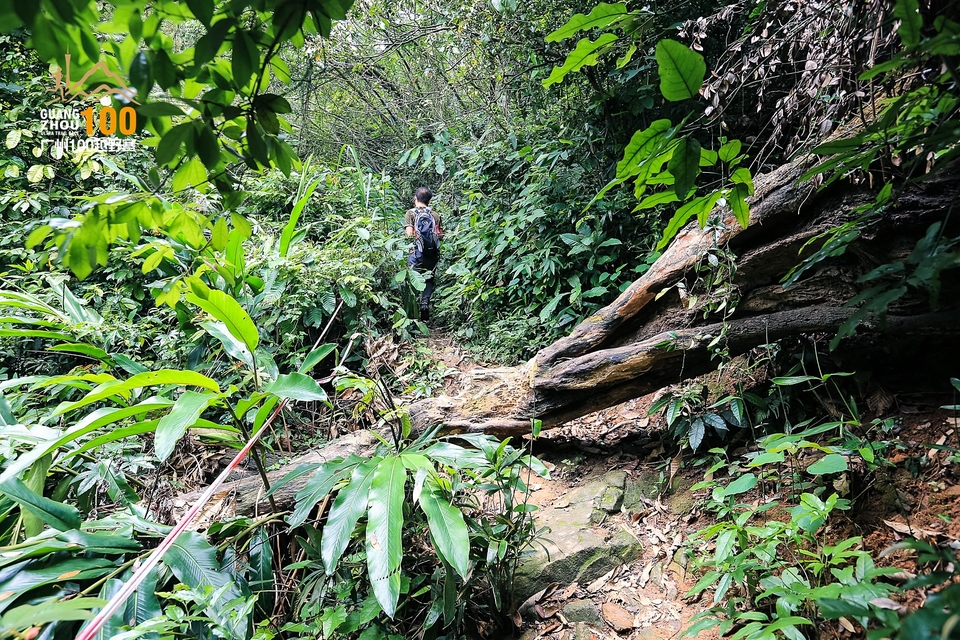 广州100越野赛0503_C (266)