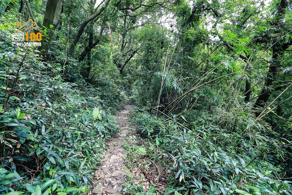 广州100越野赛0503_C (267)