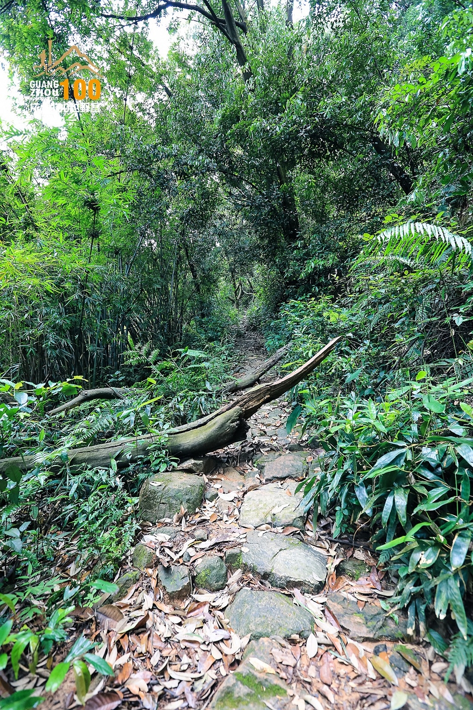 广州100越野赛0503_C (268)