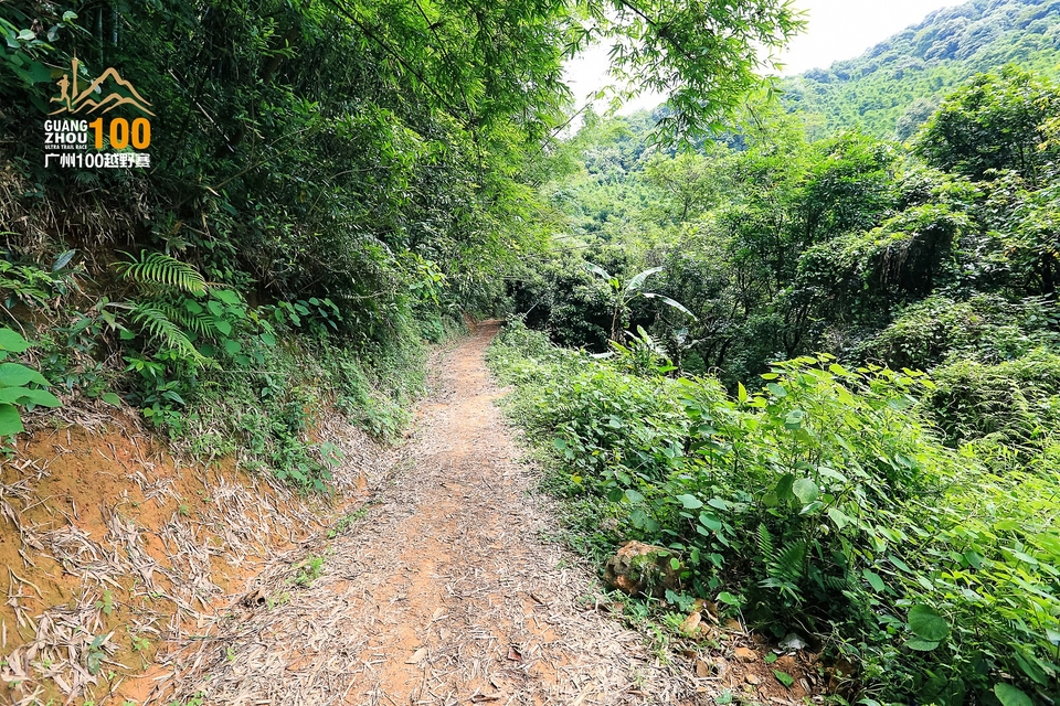 广州100越野赛0503_C (270)