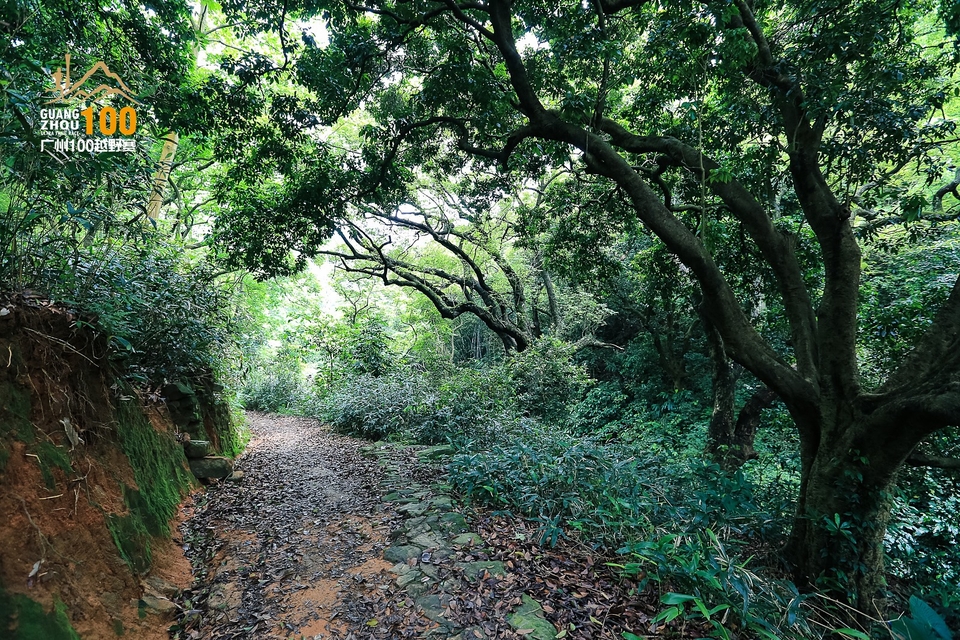 广州100越野赛0503_C (271)