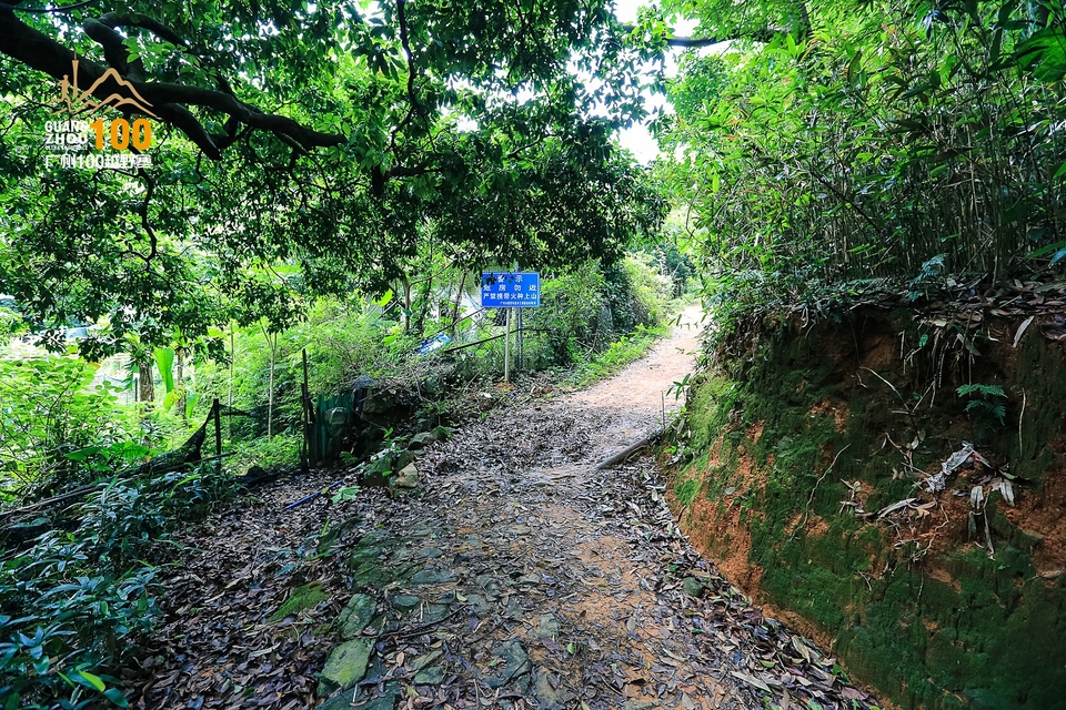 广州100越野赛0503_C (272)