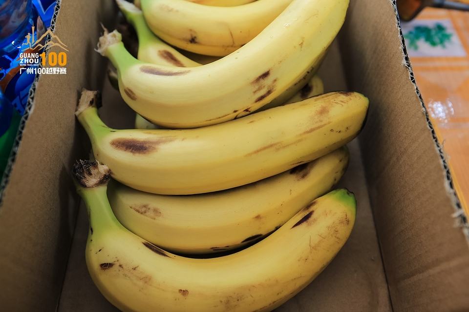 广州100越野赛0503_C (276)