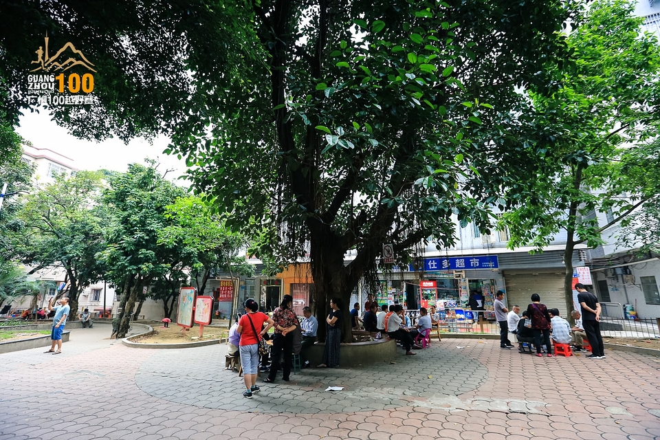 广州100越野赛0503_C (384)