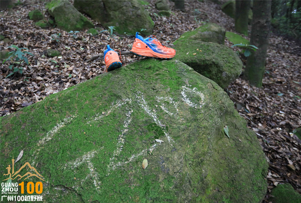 广州100越野赛0504_A (39)