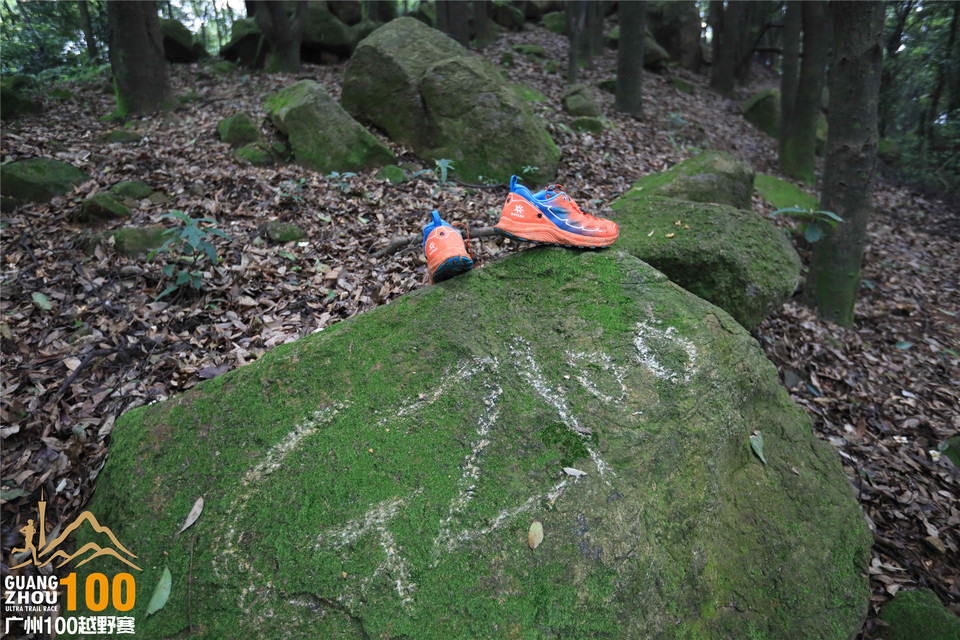 广州100越野赛0504_A (40)