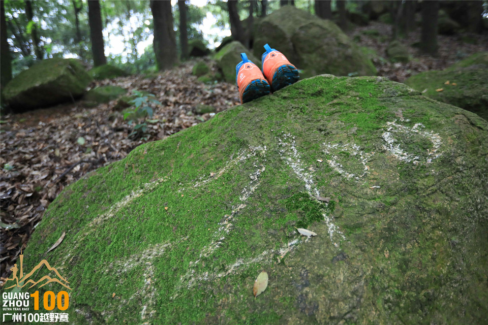 广州100越野赛0504_A (42)